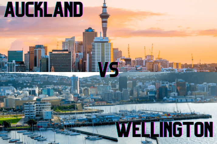 Auckland vs. Wellington: Which New Zealand City Should You Visit?